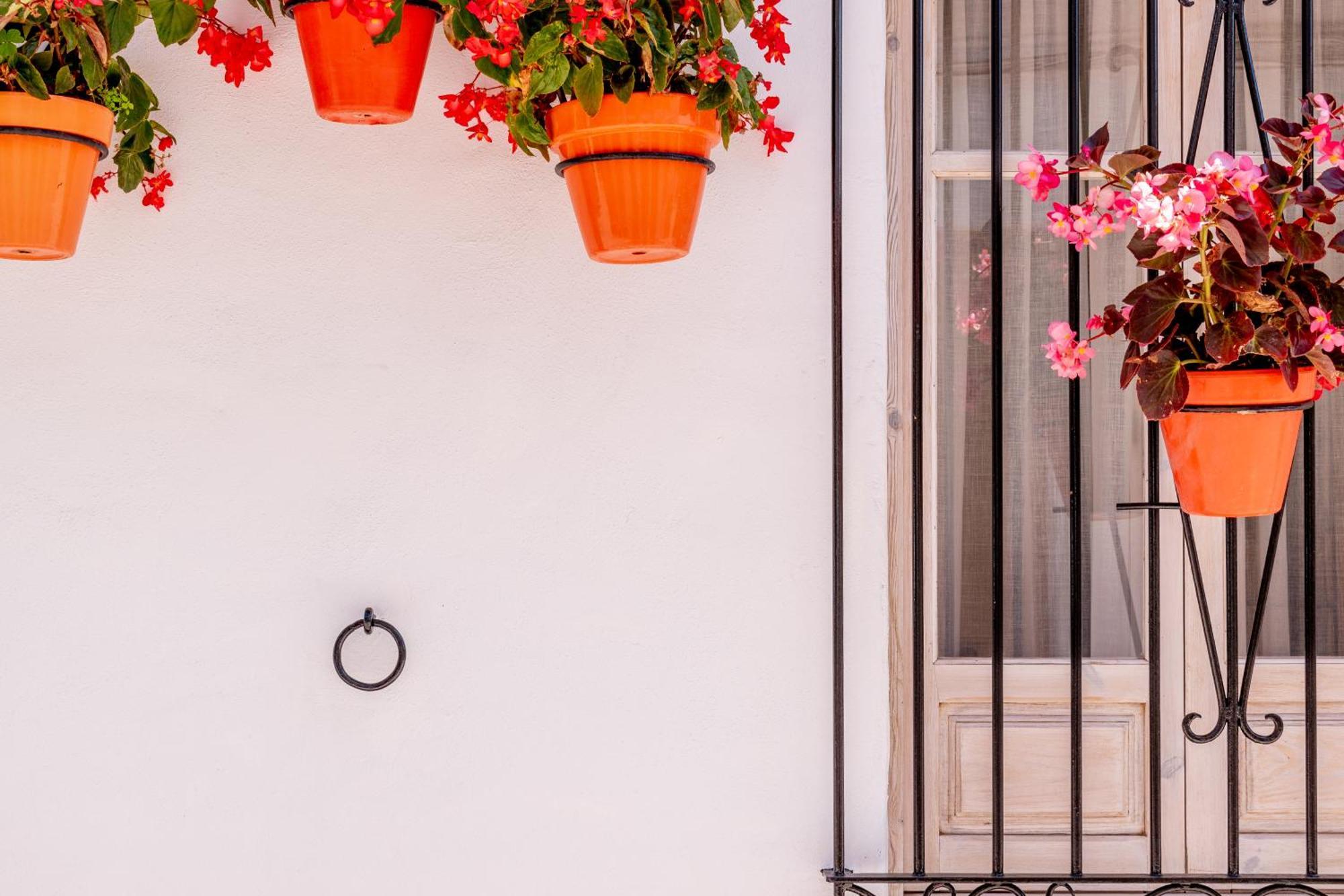 Apartamento Casa Del Patio Estepona